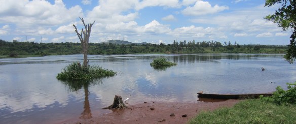 What used to be a waterfalls/rapids is now flooded and calm.  