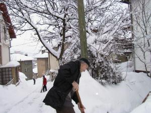 One of the neighbourhood photos that the kids took with my camera.