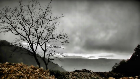 We emerged momentarily from a cloud and pouring rain to catch a glimpse of sunlight reflecting from water in the fiord below us like a mirror.  I thought the prospects of getting any photo were slim but life is full of surprises. This turned out to be one of my favourites of the day.