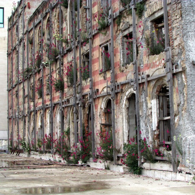 This building in Mostar near the river was heavily damaged during the war. It has been shored up with timbers. Snapdragons grow between the bricks  on the window ledges. 