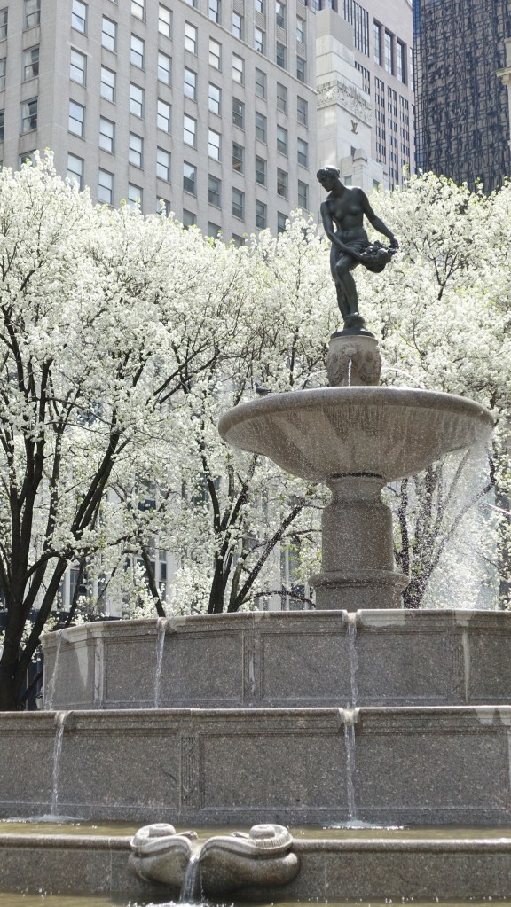 59th St and 5th Avenue