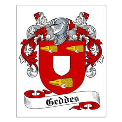 53_350x350_Front_Color-NA